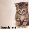 touch me