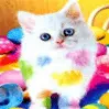 colorful spots