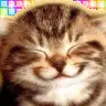 smile