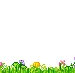 DiViDeRS FLoWeRy GarDeN
