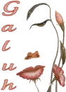 flowerface~Galuh
