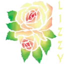 LIZZY ROSE COLORS