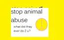 stop animal abuse