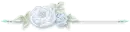 blue rose