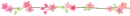 pink flowers
