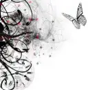 butterfly