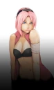sakura