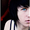 alex evans