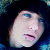 alex evans