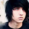 alex evans