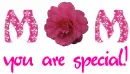 mom you are special
