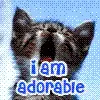 i am adorable