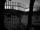 Grave yard