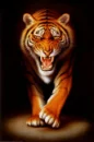 tiger