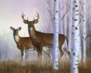 deer