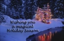 Magical Holiday