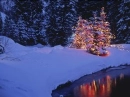 Magical holiday night