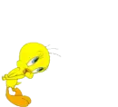 tweety stuff