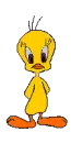 tweety stuff