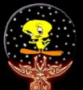 tweety stuff