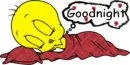 tweety stuff