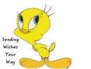 tweety