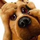scooby doo