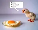 answer me!!