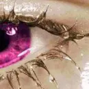 pink beauty