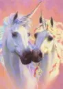 unicorns!