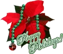 Happy Holidays