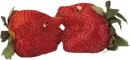 Berry Love
