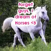 Horse icon