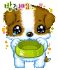 kawaii cute dog