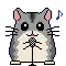 hampster