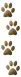 paws