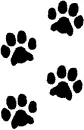 paws
