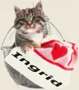 Cat smiling - Ingrid