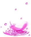 Pink Feather