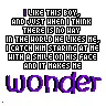Wonder