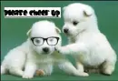 Cheer up 