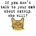 catnip
