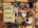Hello from Caela