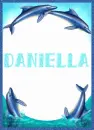 Daniella with Dolphins
