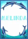 Melinda with Dolphins