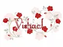 Vishaal