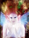 Fairy