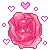 rose