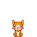 kawaii.. cat yellow