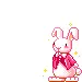 i say bunny !!